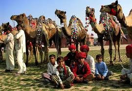 The Bikaner Camel Festival